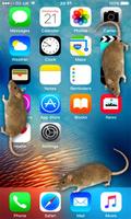 3D Mouse In Phone Prank poster