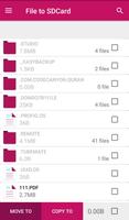 File to SDCard Affiche