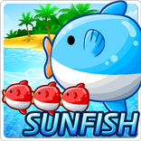 뭉쳐라! 개복치