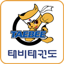 태비태권도 APK