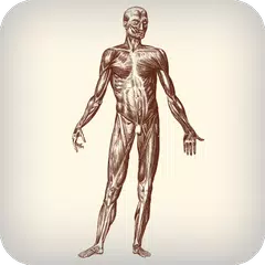 Daily Amazing Human Body Facts OFFLINE アプリダウンロード