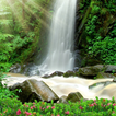 ”moving waterfall wallpaper