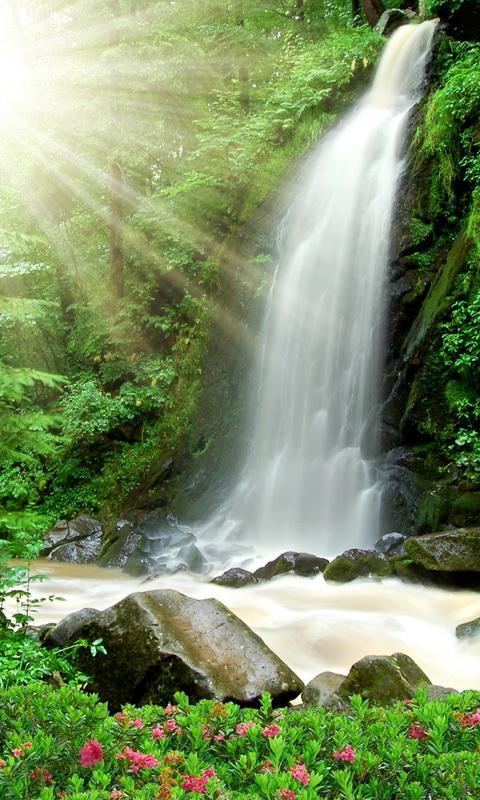 87 Gambar Air Terjun Gerak Paling Keren 87 Gambar Air Terjun Gerak Paling Keren