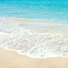 شاطئ تتحرك lwp أيقونة