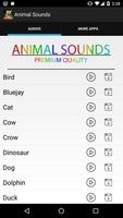 Animal Sounds Megapack ポスター