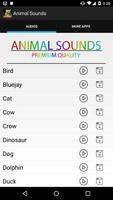 Animal Sounds Megapack Affiche