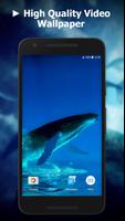 Blue Whale Video Wallpapers Affiche