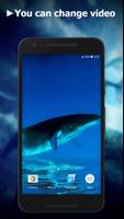 برنامه‌نما Blue Whale Video Wallpapers عکس از صفحه