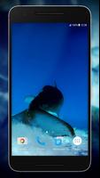 برنامه‌نما Blue Whale Video Wallpapers عکس از صفحه