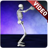 Dance Skeleton Video Wallpaper icône