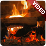 Fireplace Video Live Wallpaper icône