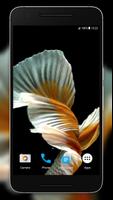 I Fish Video Live Wallpaper اسکرین شاٹ 3