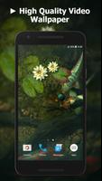 Koi Pond Video Live Wallpaper โปสเตอร์