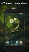 Koi Pond Video Live Wallpaper スクリーンショット 1