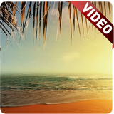 Seashore Sunset Live Wallpaper icon