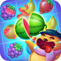 Fruit Jam - Fruit Splash