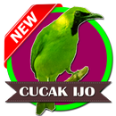 Mp3 Masteran Cucak Ijo APK