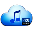 Music Paradise+Pro иконка