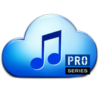 آیکون‌ Music Paradise+Pro