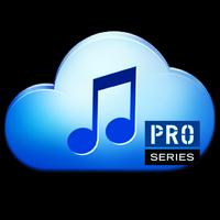 Music Paradise+Pro পোস্টার