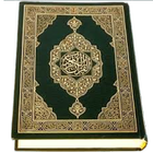 Quran Full 30 Juz MP3 Download icône