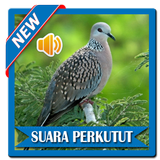 Mp3 Suara Burung Perkutut ícone