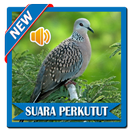 Mp3 Suara Burung Perkutut APK