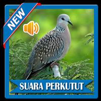 Mp3 Suara Burung Perkutut ポスター