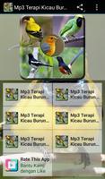 Mp3 TERAPI Burung Affiche