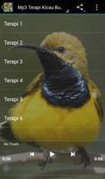 Mp3 TERAPI Burung ภาพหน้าจอ 2