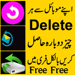 Data Recovery Urdu