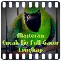 Masteran Cucak Ijo Full Gacor Poster