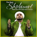 MP3 Sholawat Habib Syech APK