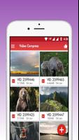 MP4 Video Compressor स्क्रीनशॉट 3