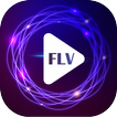 ”MP4 FLV Video Player