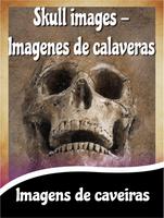 Imagens de caveiras – skull images Cartaz