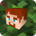 New Minecraft Wallpapers icône