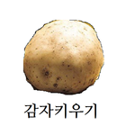 (노가다게임)감자키우기 ikona