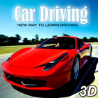 Driving in Car-icoon
