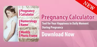 Pregnancy Calculator