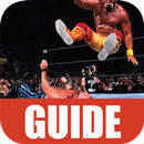 APK Guide for Smackdown Pain