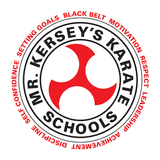 Mr Kerseys Karate School Ltd icon