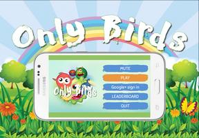 Only Birds Game 2017 plakat