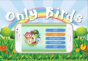 Only Birds Game 2017 постер