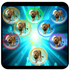 Save the Lions - Free Match & Pop Bubble Game icône