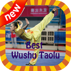 Best Video Wushu Kungfu Taolu 图标