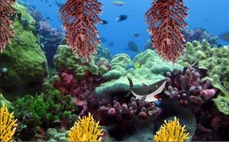 Memo Coral Reef Expedition captura de pantalla 1