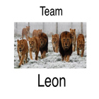 Team Leon icône