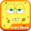 Crazy Spongy