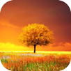 Awesome-Land Pro Livewallpaper APK